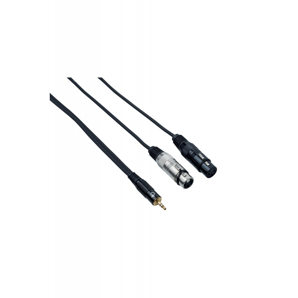 BESPECO EAGLE PRO Mini Jack 3.5 mm / 2 x XLR F, 3m