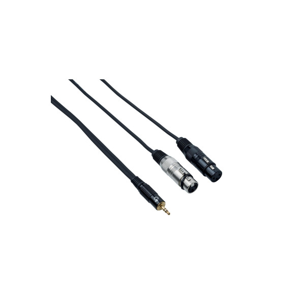 BESPECO EAGLE PRO Mini Jack 3.5 mm / 2 x XLR F, 3m BESPECO EAGLE PRO Mini Jack 3.5 mm / 2 x XLR F, 3m