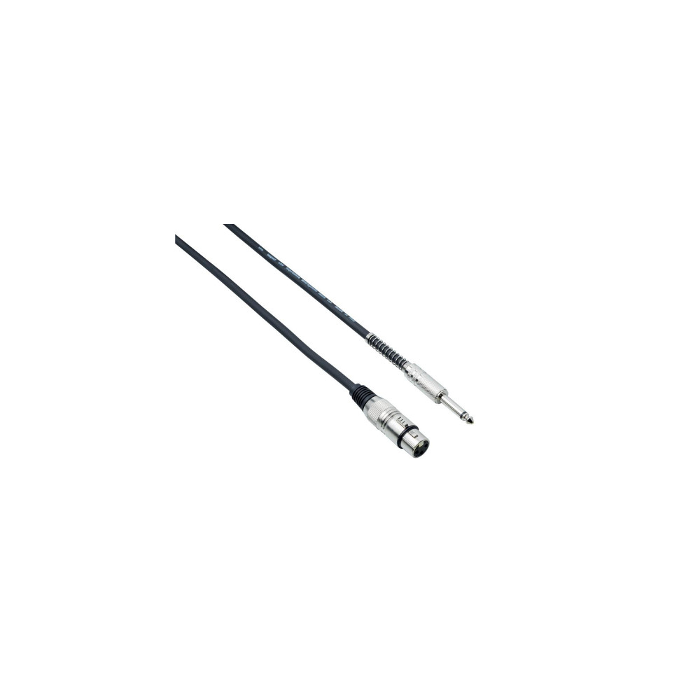 BESPECO IRON SERIES, Mono Jack 6.35 mm / XLR F, 6m