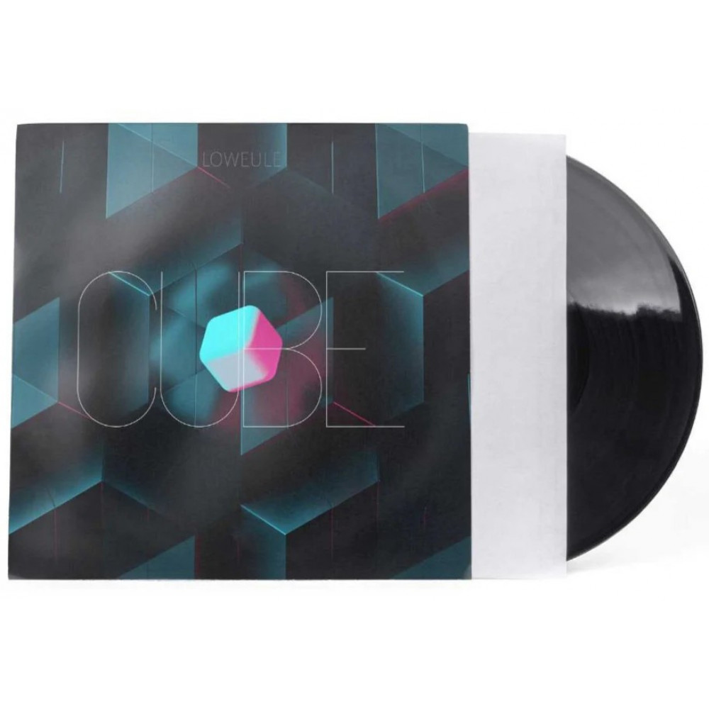 RELOOP Premium 12'' Vinyl Polylined Inner Sleeves