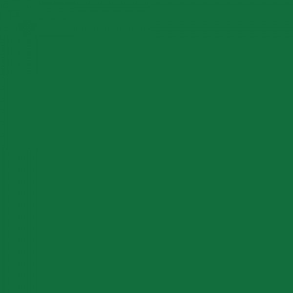 ROSCO E-Colour 139 Primary green 1.22 x 1m ROSCO E-Colour 139 Primary green 1.22 x 1m