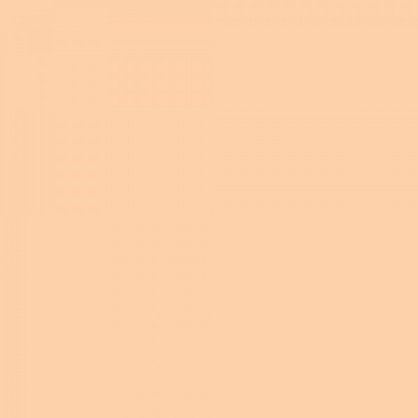 ROSCO E-Colour 205 1/2 CT Orange 1.22 x 1m