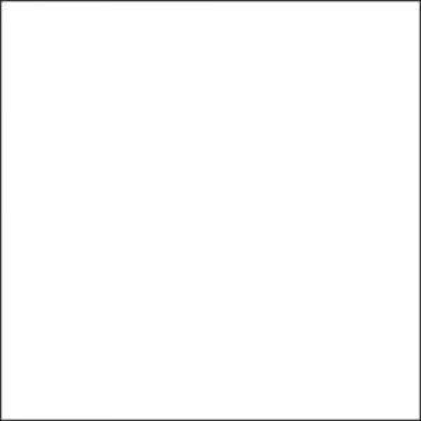 ROSCO E-Colour 250 Half White Diffusion 1.22 x 1m