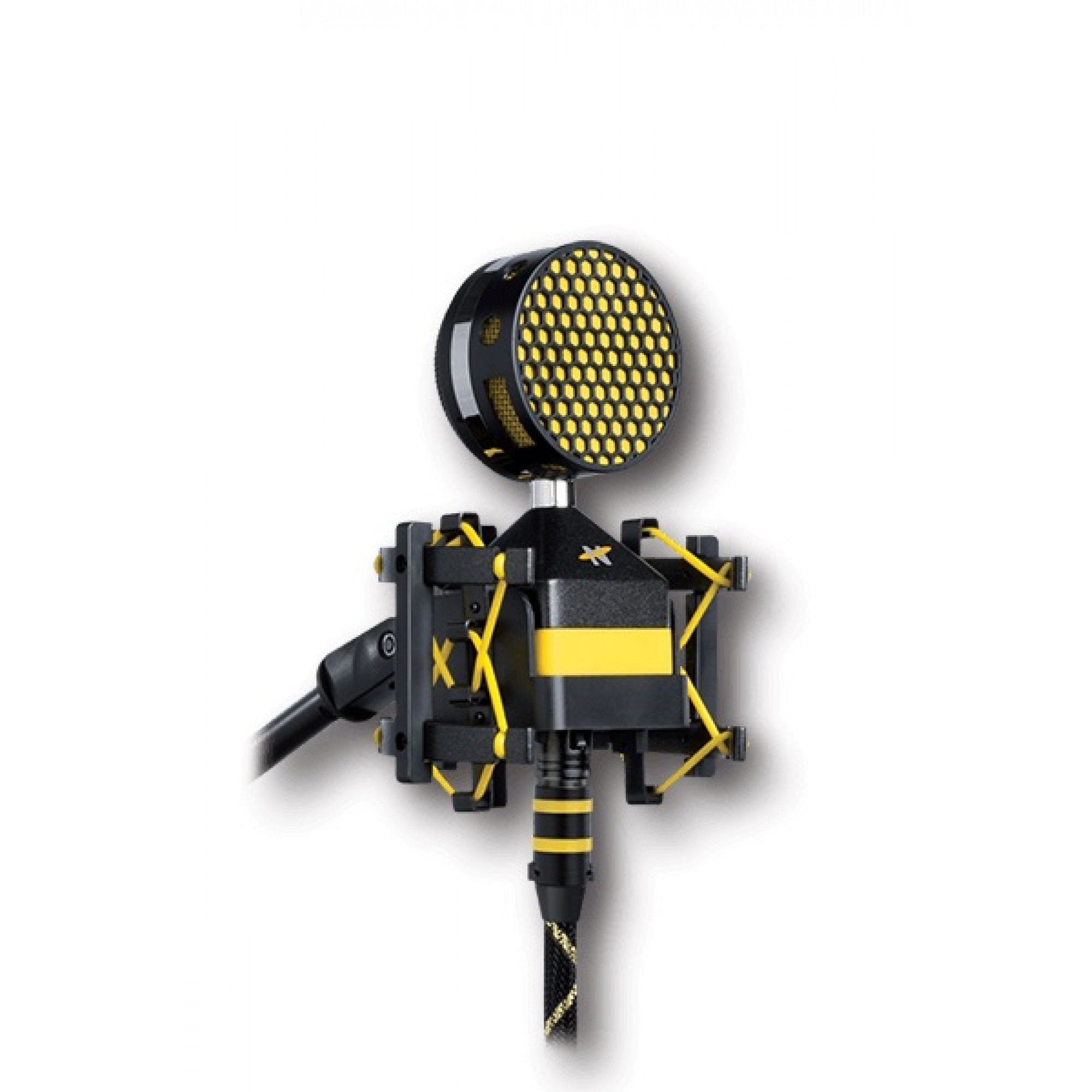 NEAT Worker Bee NEAT Worker Bee